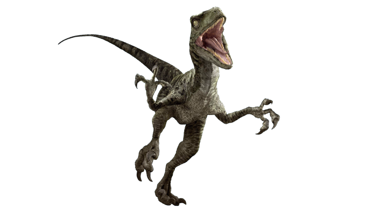 Download PNG image - Velociraptor PNG Photo 