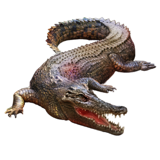 Download PNG image - Alligator PNG Isolated File 