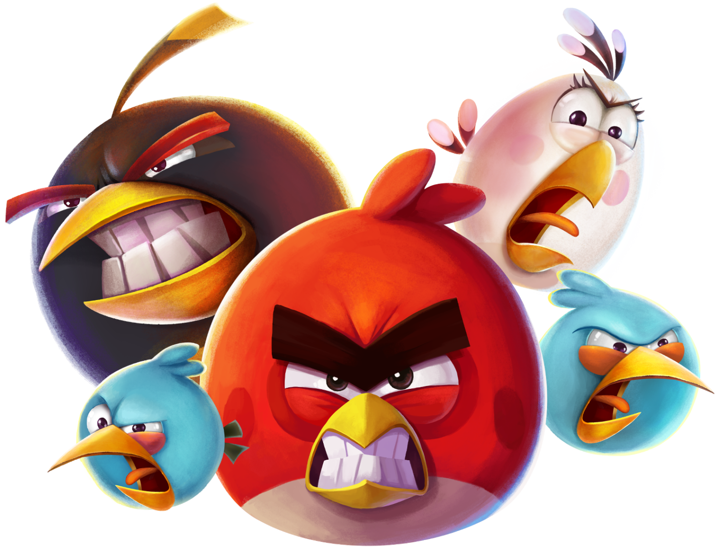 Angry Birds Game PNG Photo