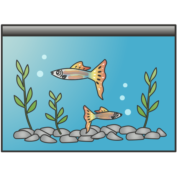 Download PNG image - Aquarium Fish Tank Download PNG Image 