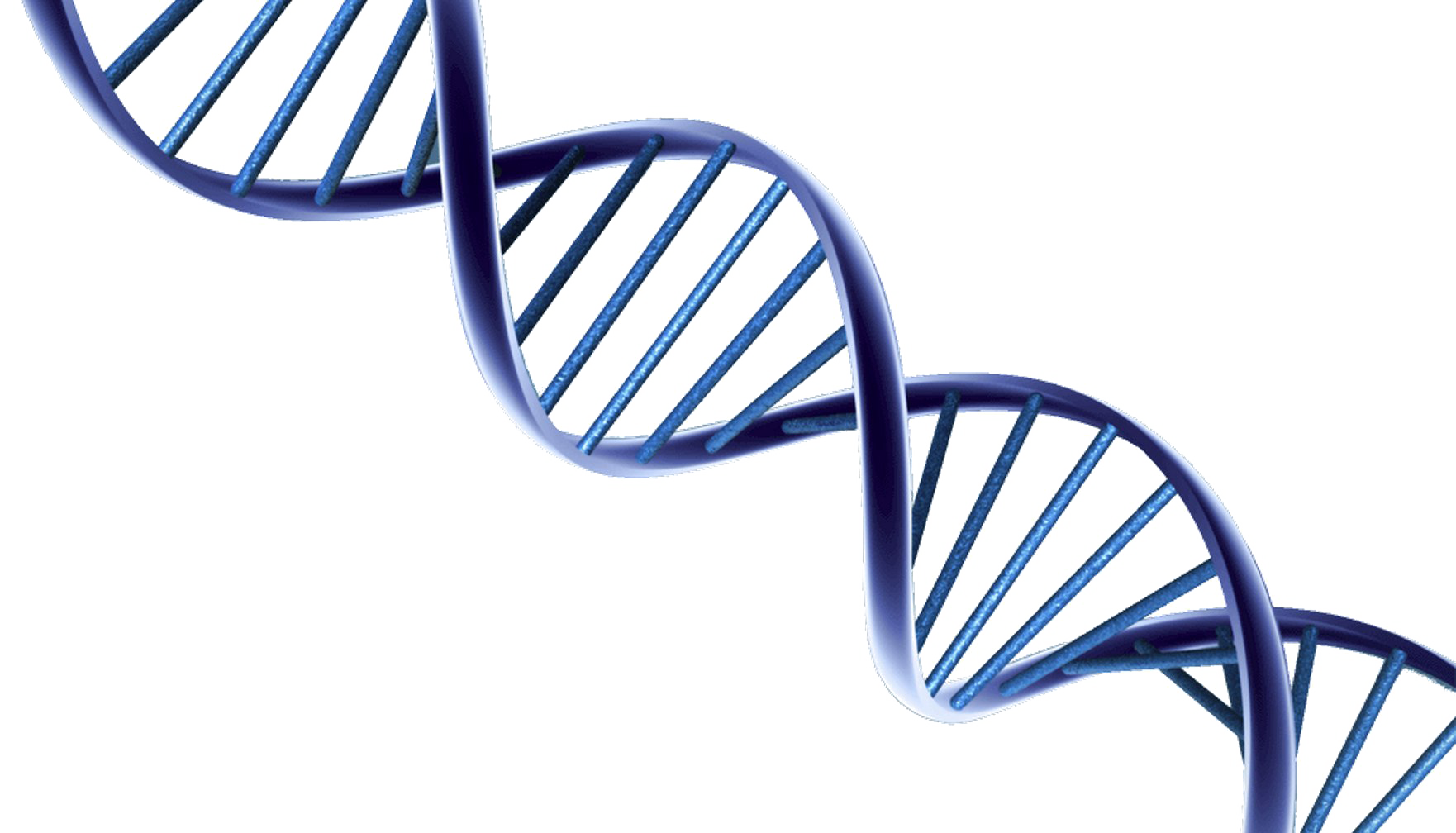Download PNG image - DNA PNG Photo 