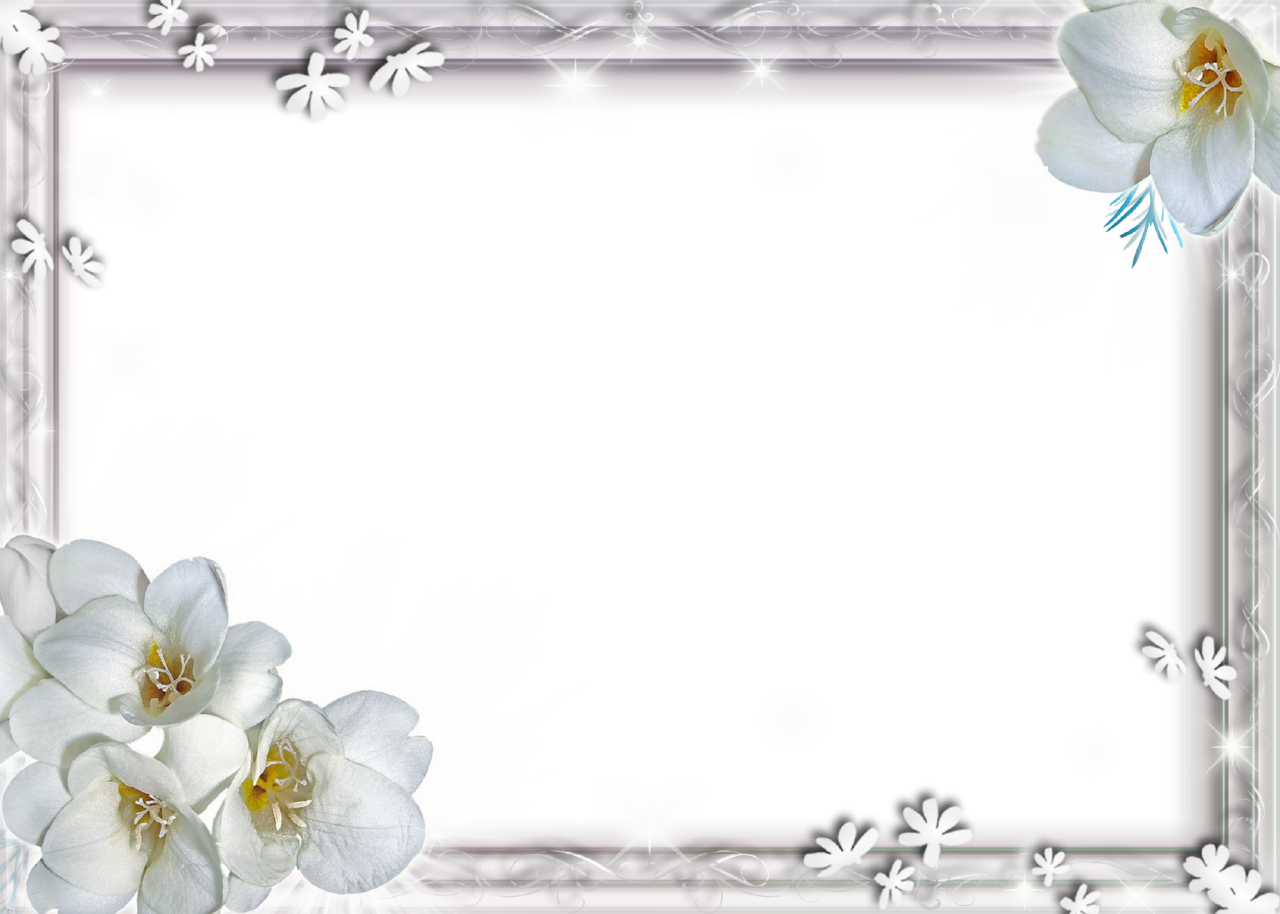 Download PNG image - Flower Frame PNG Clipart 