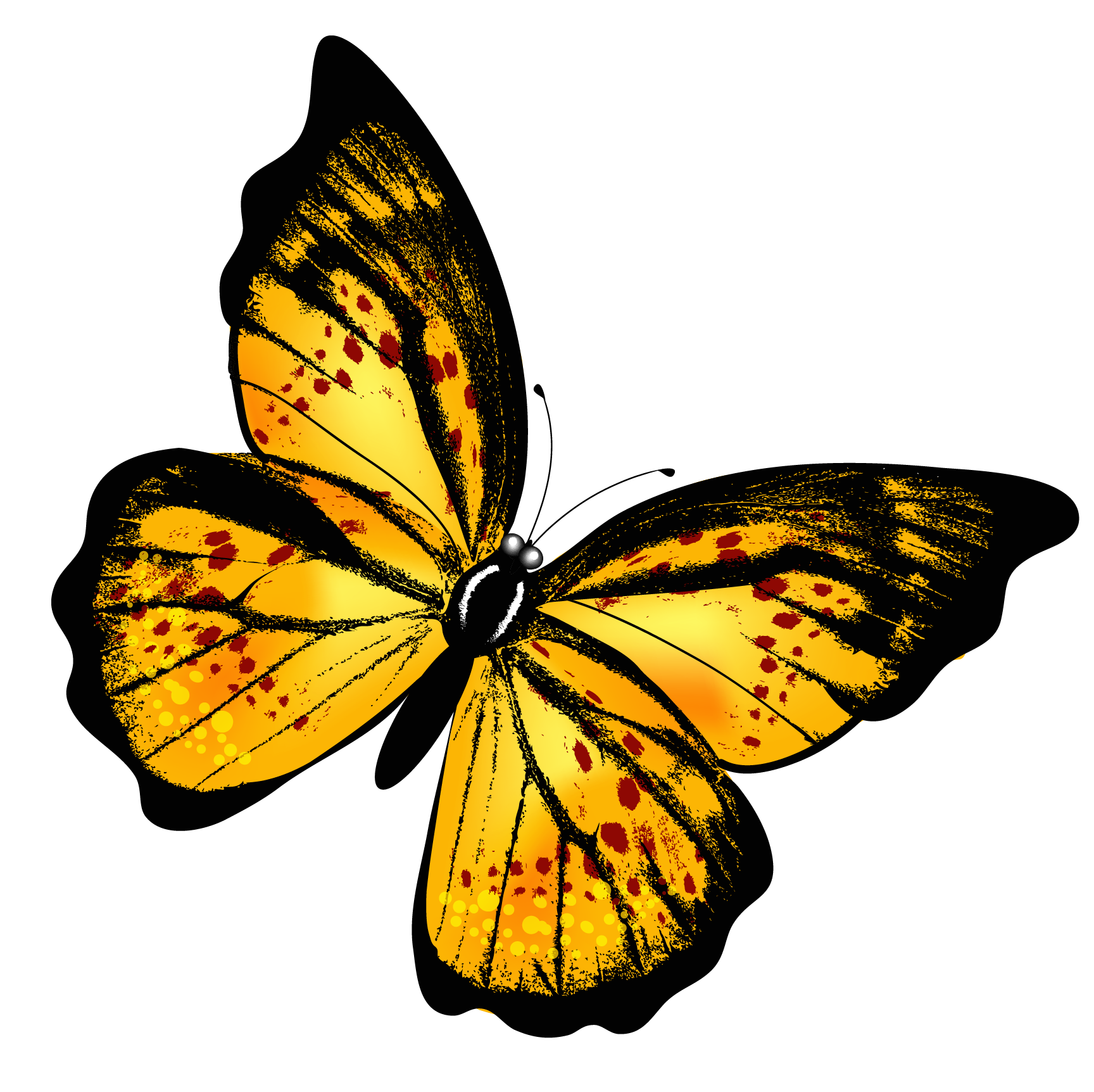 Download PNG image - Flying Butterfly PNG Photos 