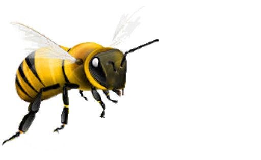 Download PNG image - Flying Honey Bee Transparent Background 