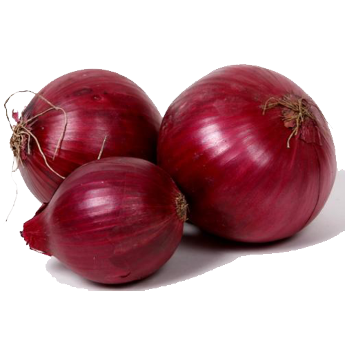 Download PNG image - Fresh Onion PNG File 