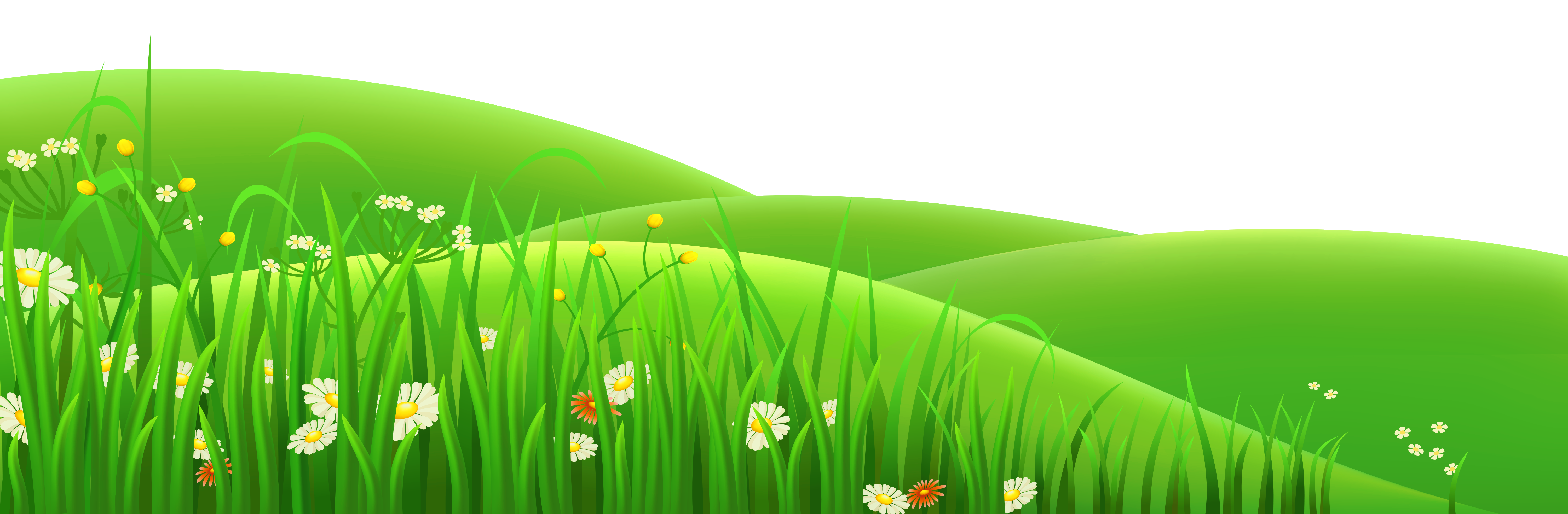 Download PNG image - Lawn Grass PNG Isolated Clipart 