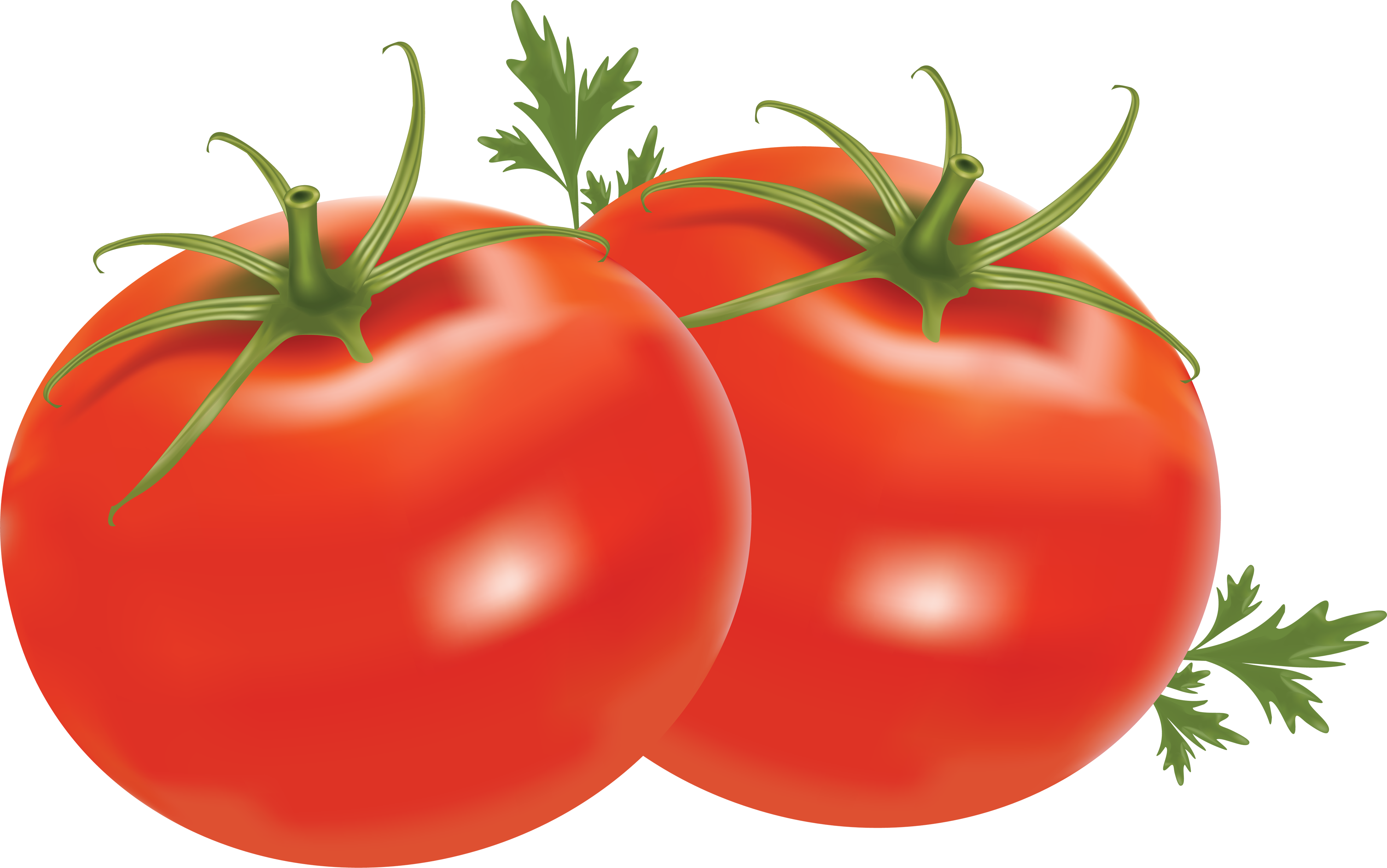 Download PNG image - Organic Fresh Tomatoes Bunch PNG Transparent Image 