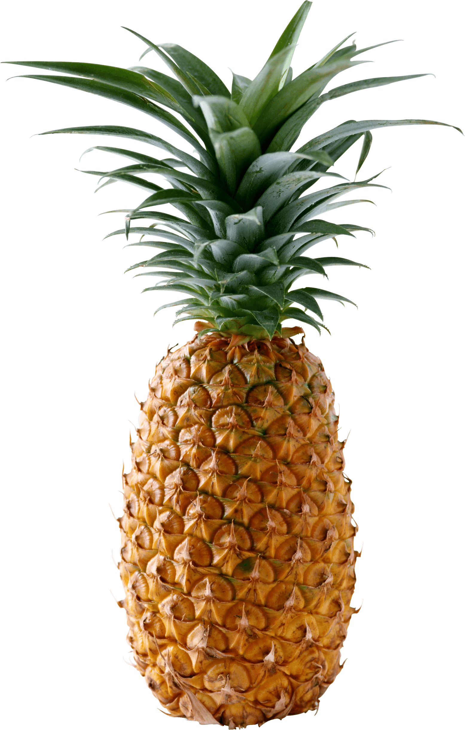 Download PNG image - Pineapple PNG Transparent Images 