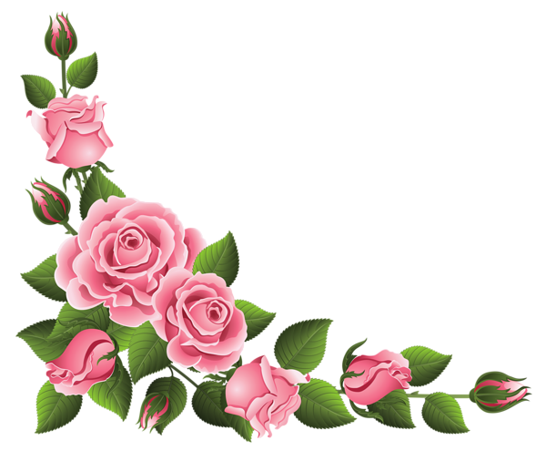 Download PNG image - Pink Rose Flower Bunch Transparent Background 