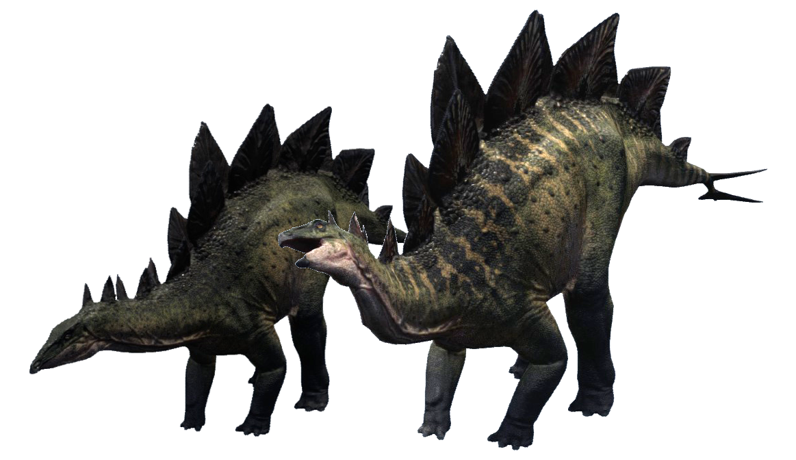Download PNG image - Stegosaurus PNG Clipart 