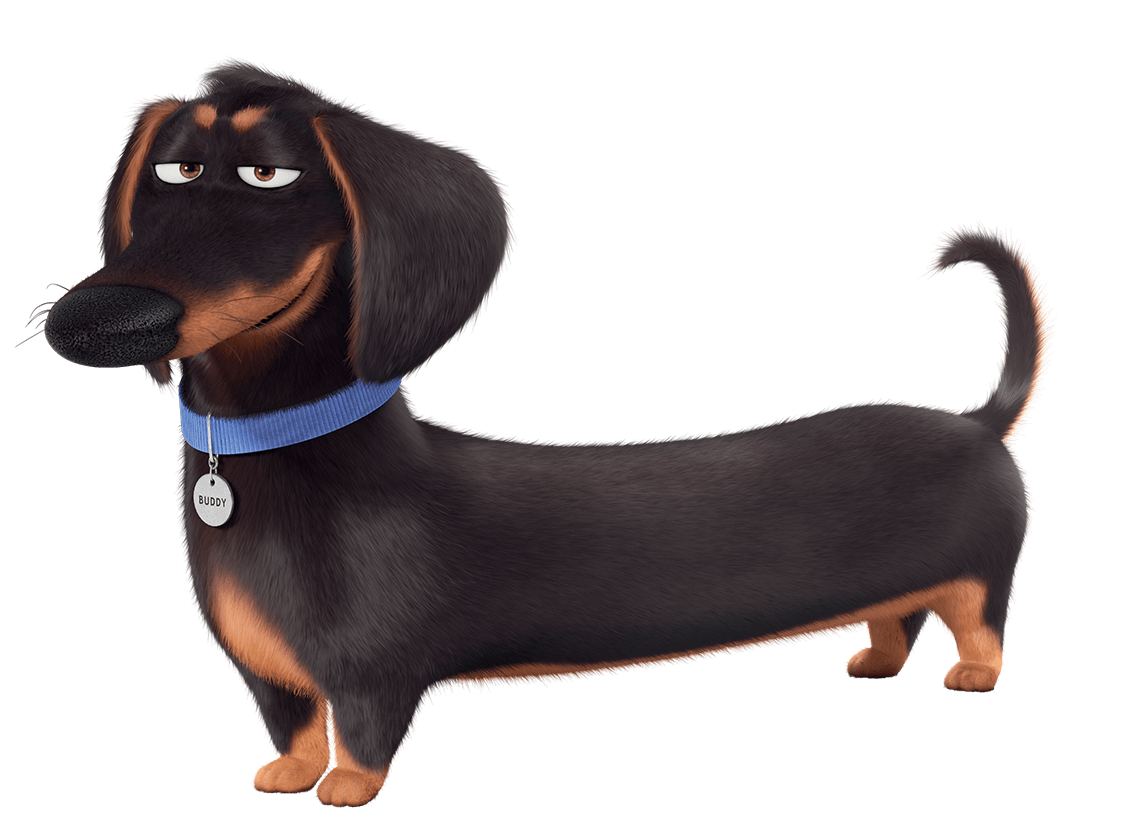 Download PNG image - The Secret Life of Pets PNG HD 