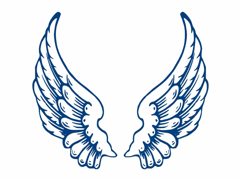 Download PNG image - Vector Angel Wings PNG Clipart 