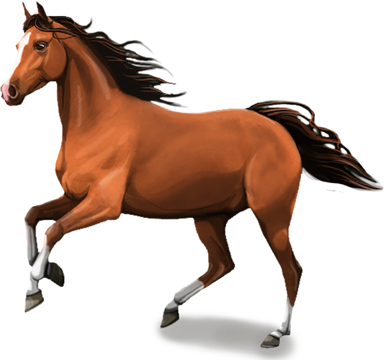 Download PNG image - Brown Horse PNG Isolated File 