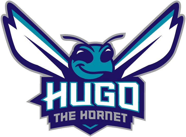Download PNG image - Charlotte Hornets PNG Clipart 