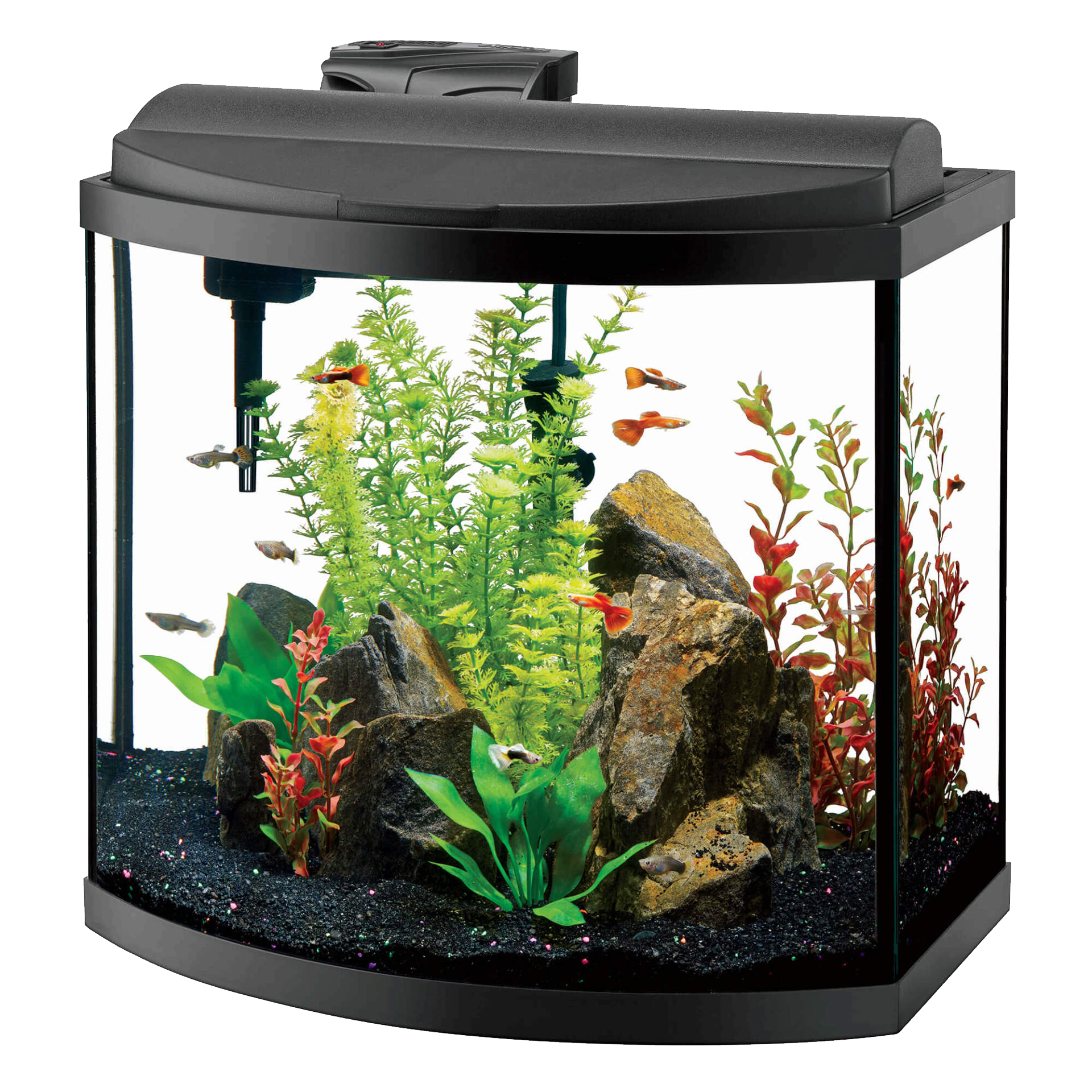 Download PNG image - Fish Tank Glass Transparent PNG 