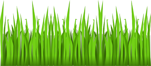 Download PNG image - Green Grass Vector Transparent PNG 