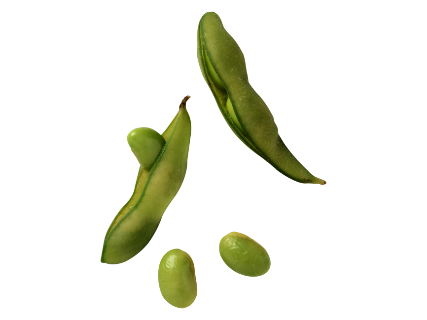 Lima Beans PNG Picture.