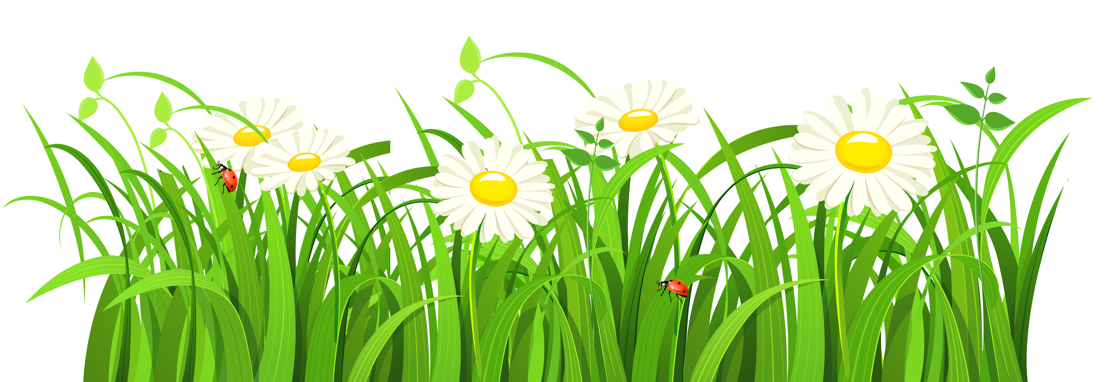 Download PNG image - Natural Grass Vector PNG Clipart 