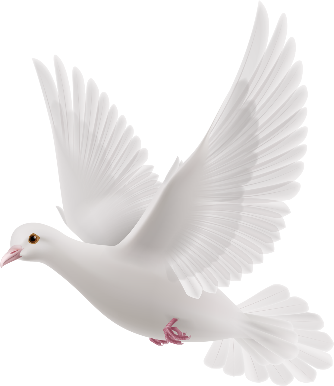 Download PNG image - Peace White Pigeon PNG File 