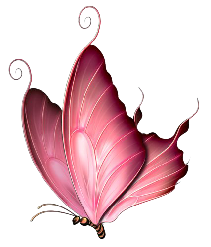 Download PNG image - Pink Butterfly PNG Image 