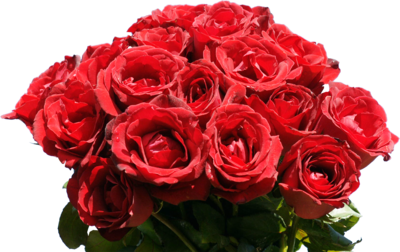 Download PNG image - Rose Bunch PNG Pic 
