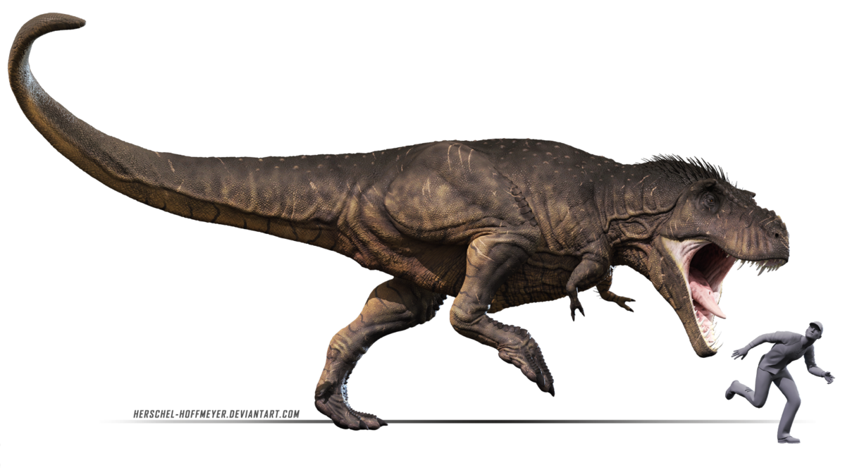 Download PNG image - T Rex Background PNG 