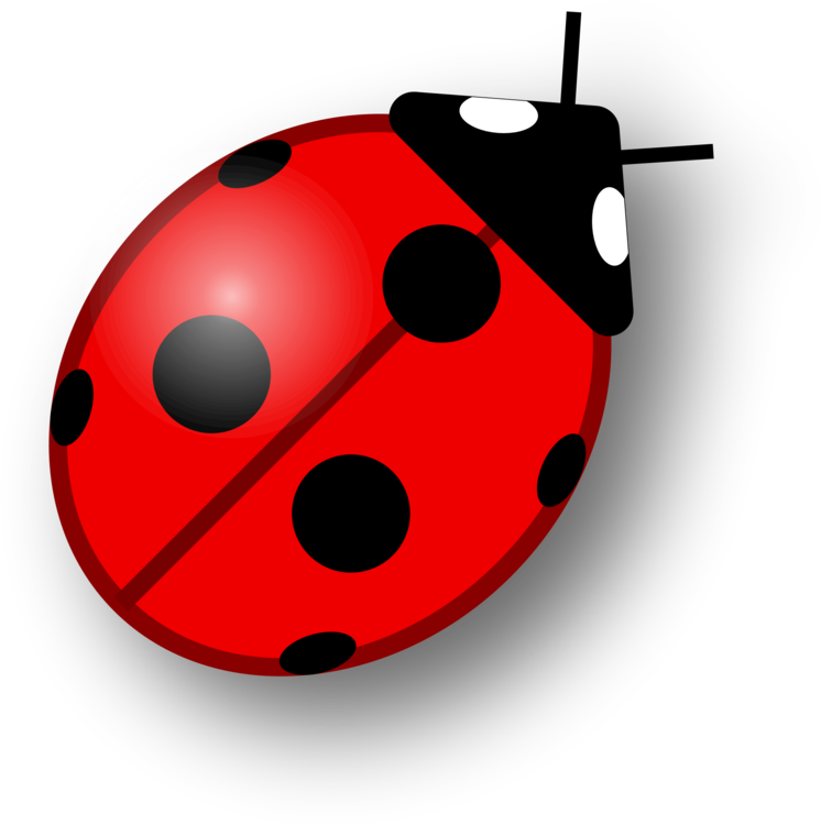 Download PNG image - Vector Ladybug Insect Transparent PNG 