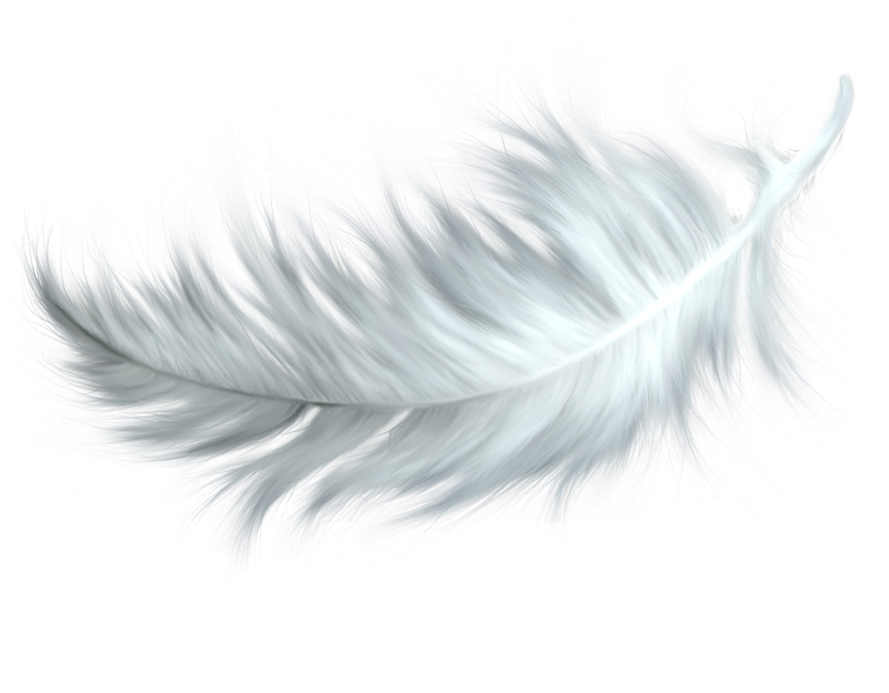 Download PNG image - Watercolor Feather PNG HD 