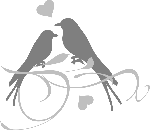 Download PNG image - Wedding Pigeon Transparent Background 