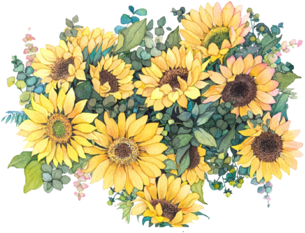 Download PNG image - Aesthetic Sunflower Vector PNG 