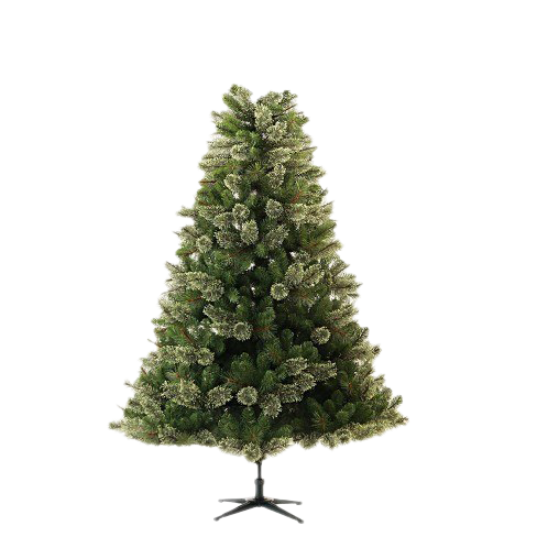 Christmas Pine Tree Transparent Images PNG