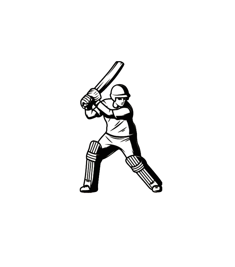 Download PNG image - Cricket PNG HD Isolated 