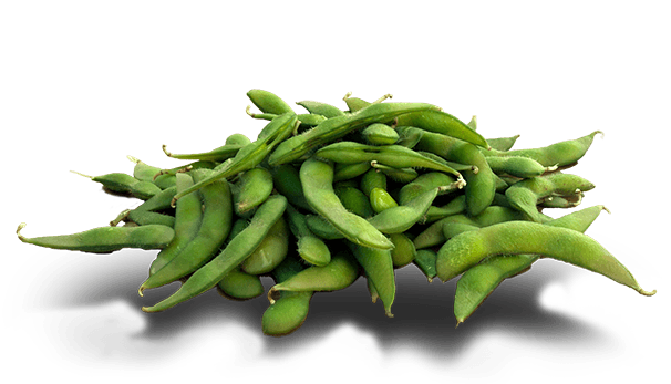 Download PNG image - Edamame Bean PNG Picture 