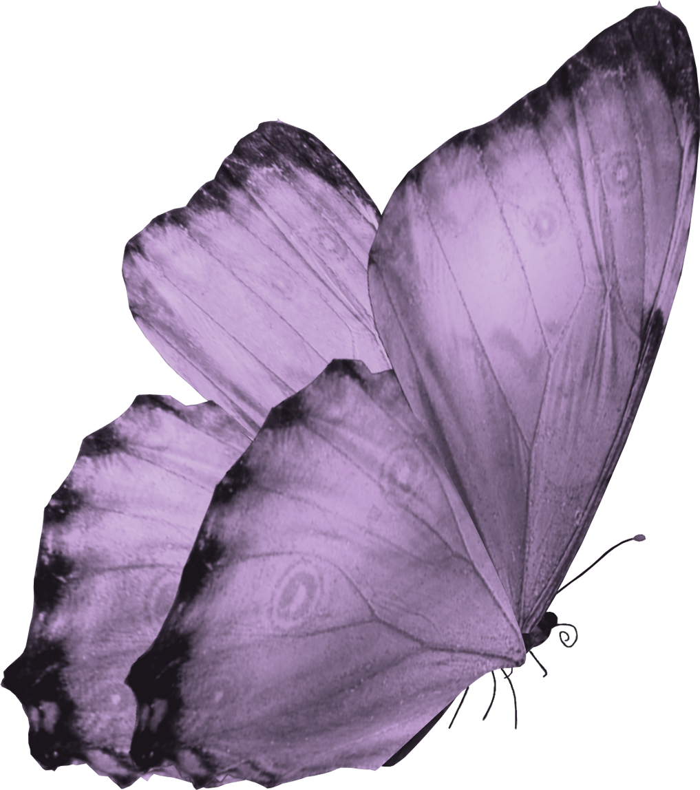Download PNG image - Flying Butterfly PNG Image 