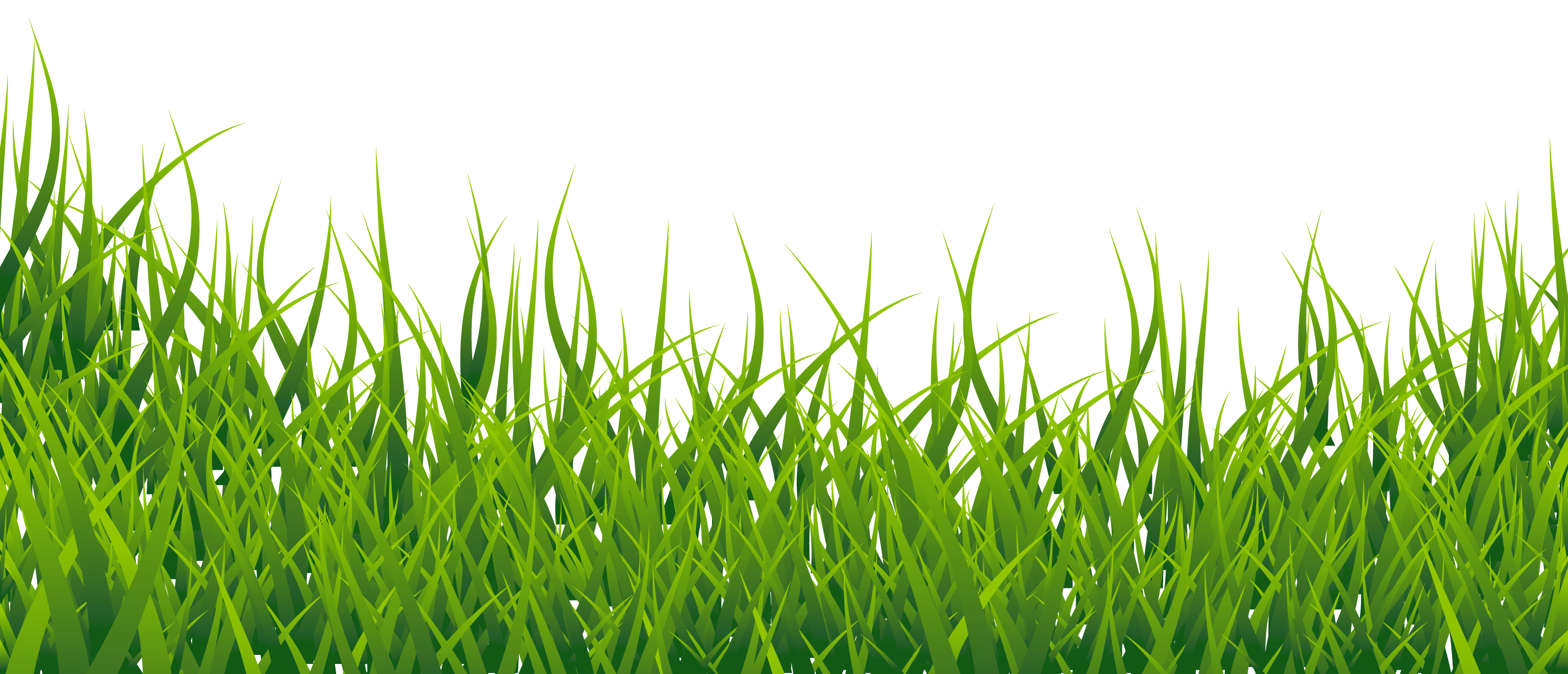 Download PNG image - Grass Vector PNG Pic 