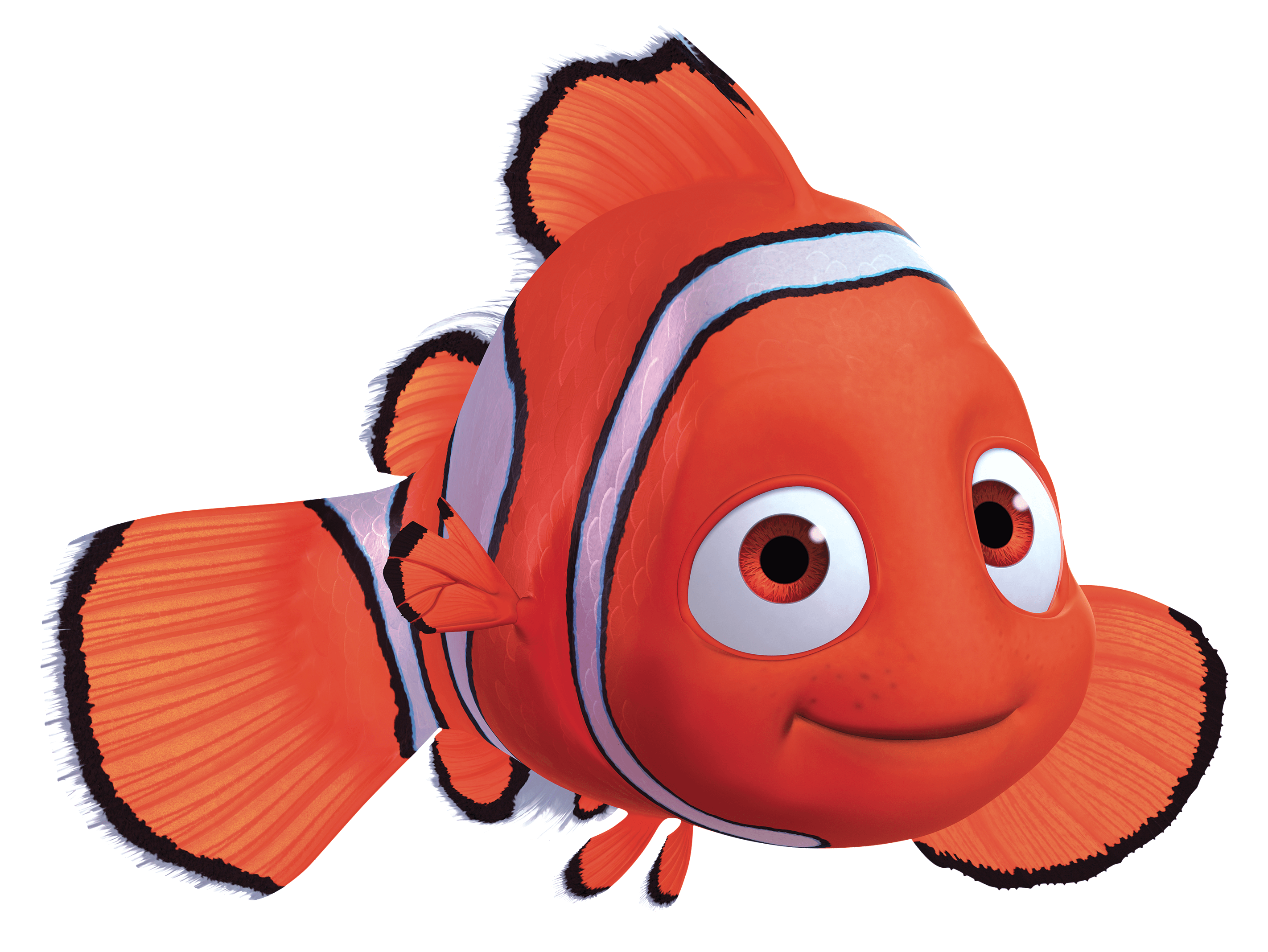 Download PNG image - Nemo Shark PNG Clipart 