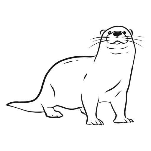 Download PNG image - Otters PNG HD 