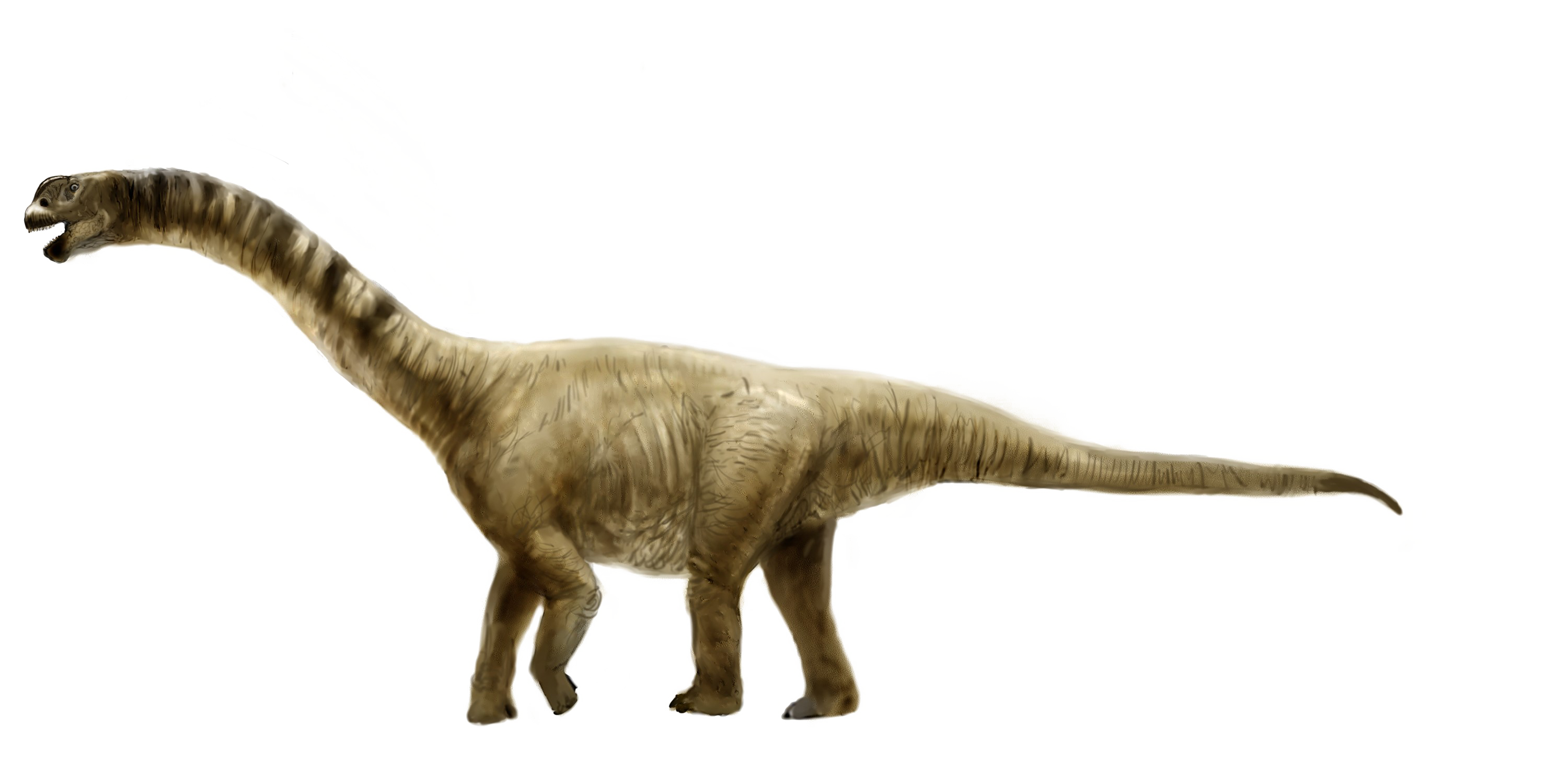Download PNG image - Sauropod PNG Picture 