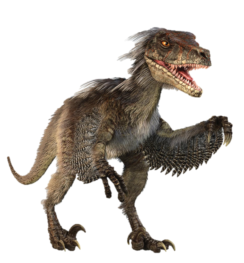 Download PNG image - Velociraptor PNG Free Download 