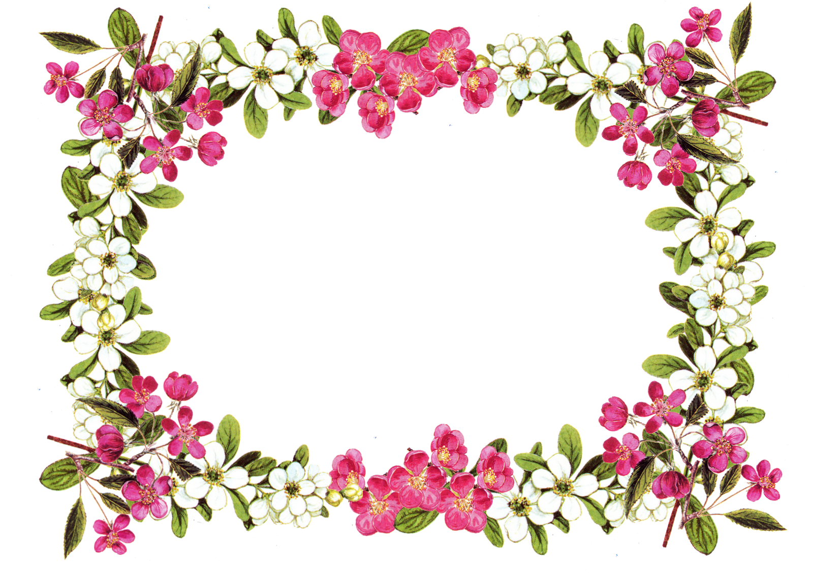 Download PNG image - Vintage Floral Frame PNG Pic 
