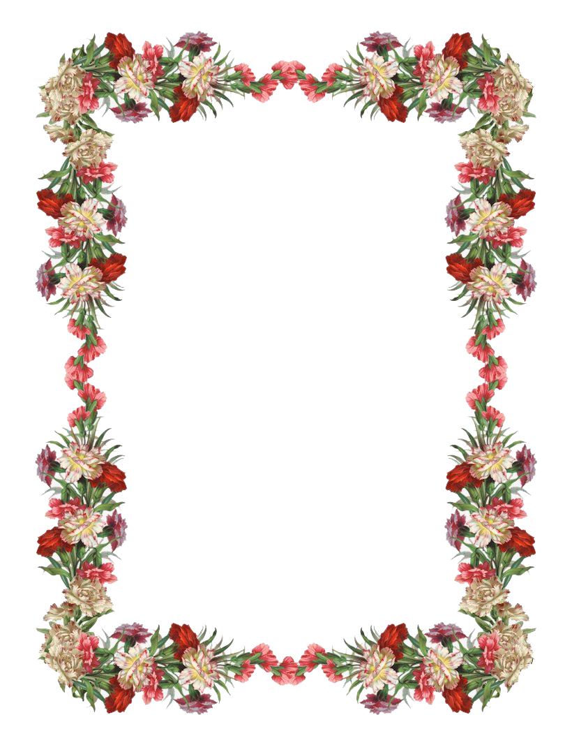 Download PNG image - Vintage Floral Frame Transparent Background 