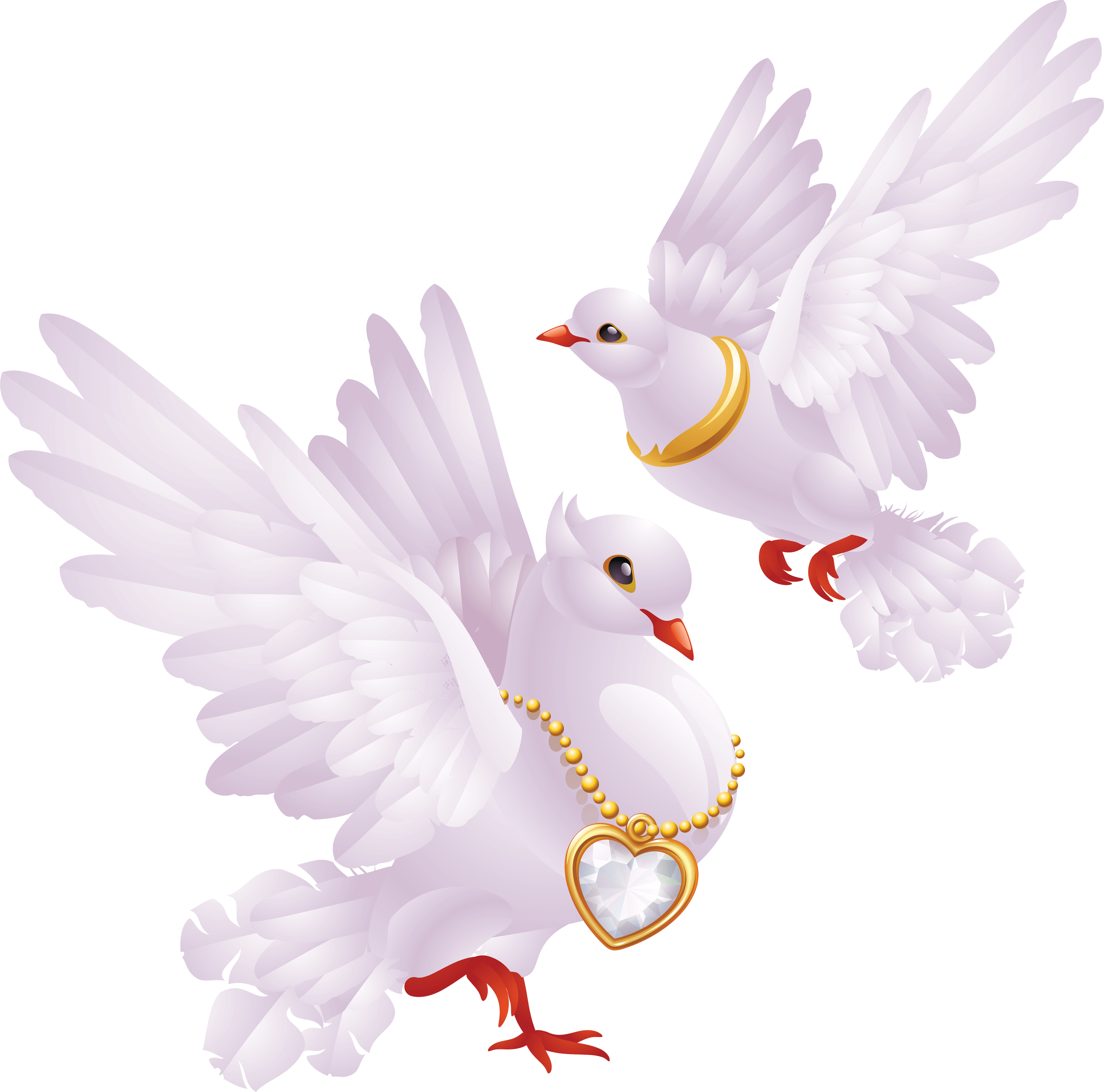 Download PNG image - Wedding Pigeon PNG Clipart 