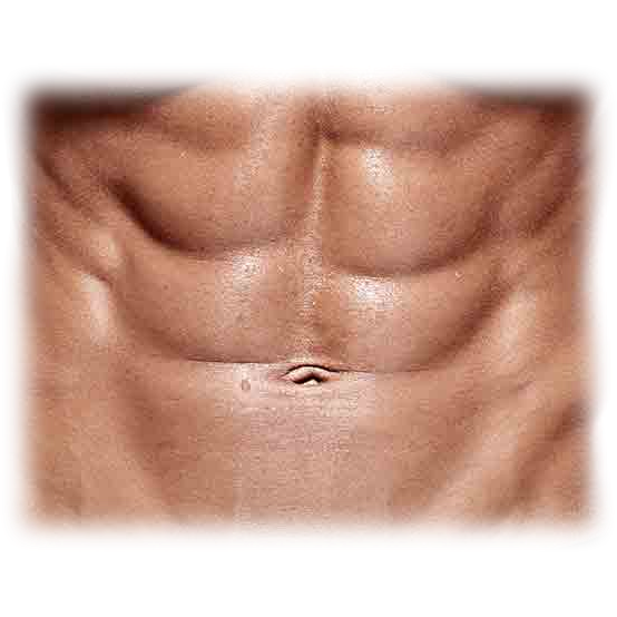 Download PNG image - 6 Pack Abs PNG HD Isolated 