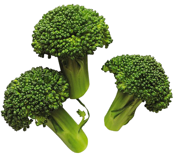 Download PNG image - Broccoli PNG Image 