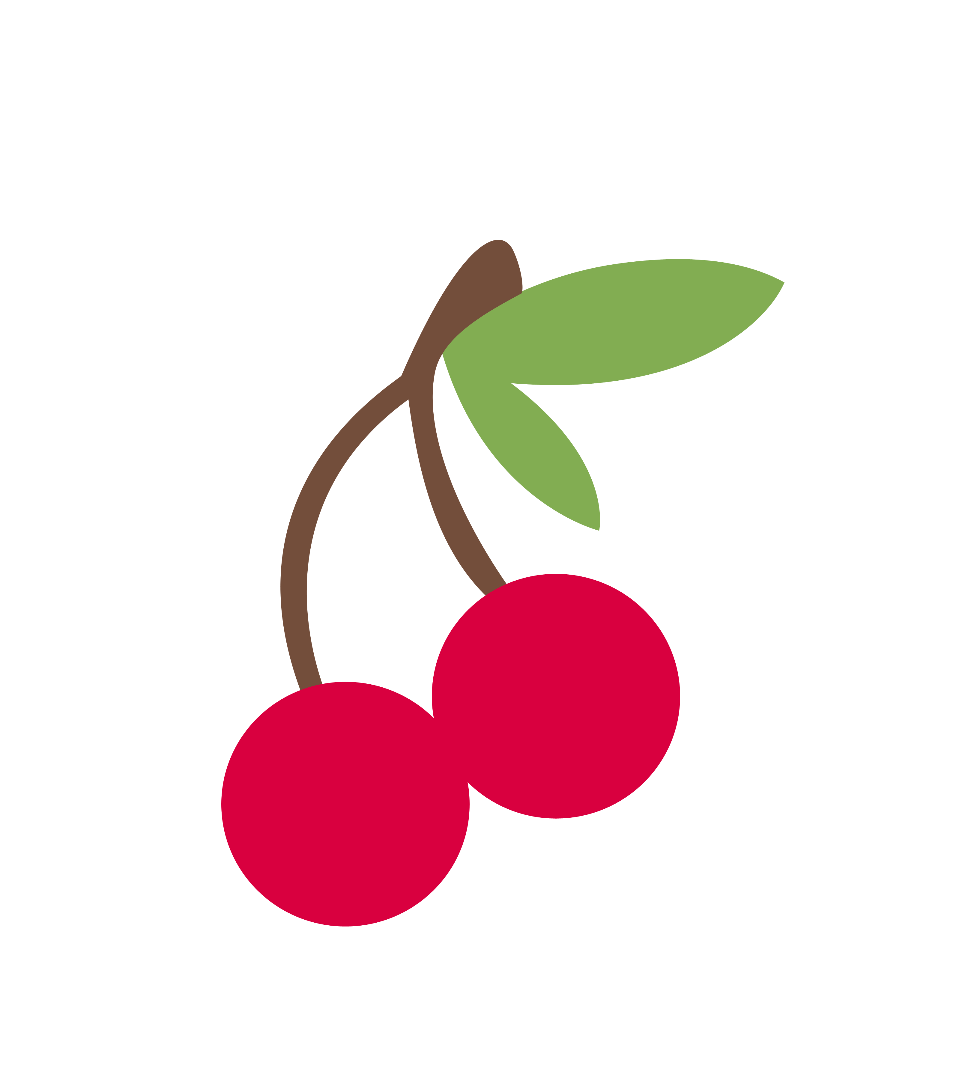 Download PNG image - Cherry Vector Transparent Background 