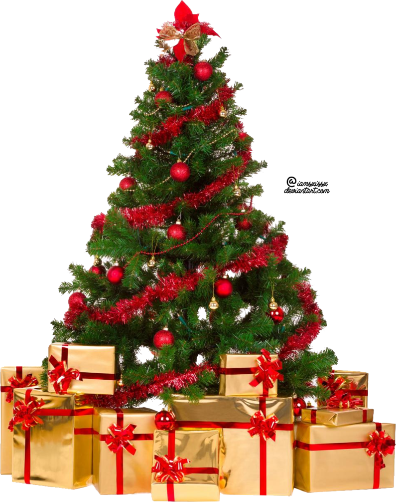 Download PNG image - Christmas Tree PNG Isolated Photos 