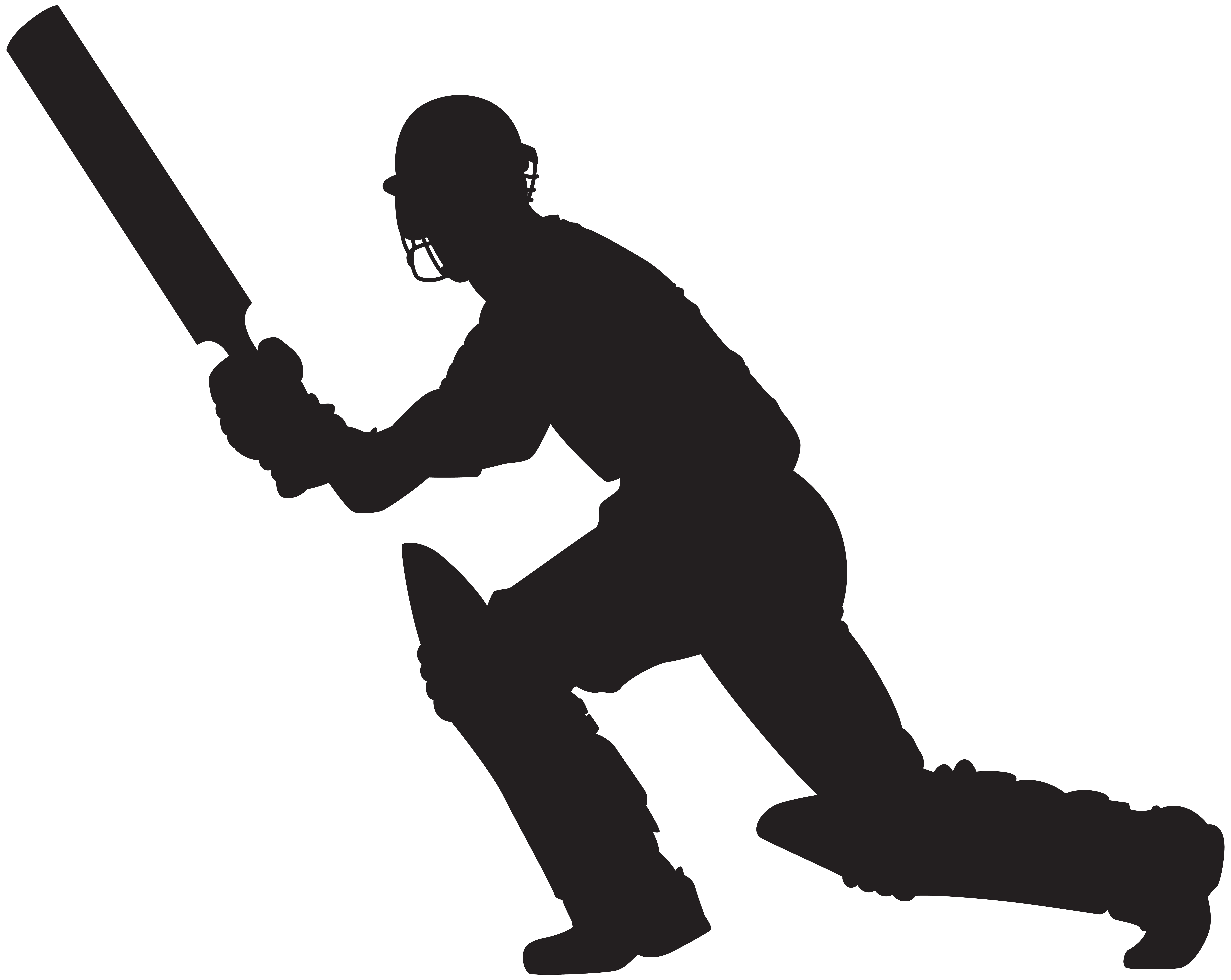 Download PNG image - Cricket PNG Isolated Photo 