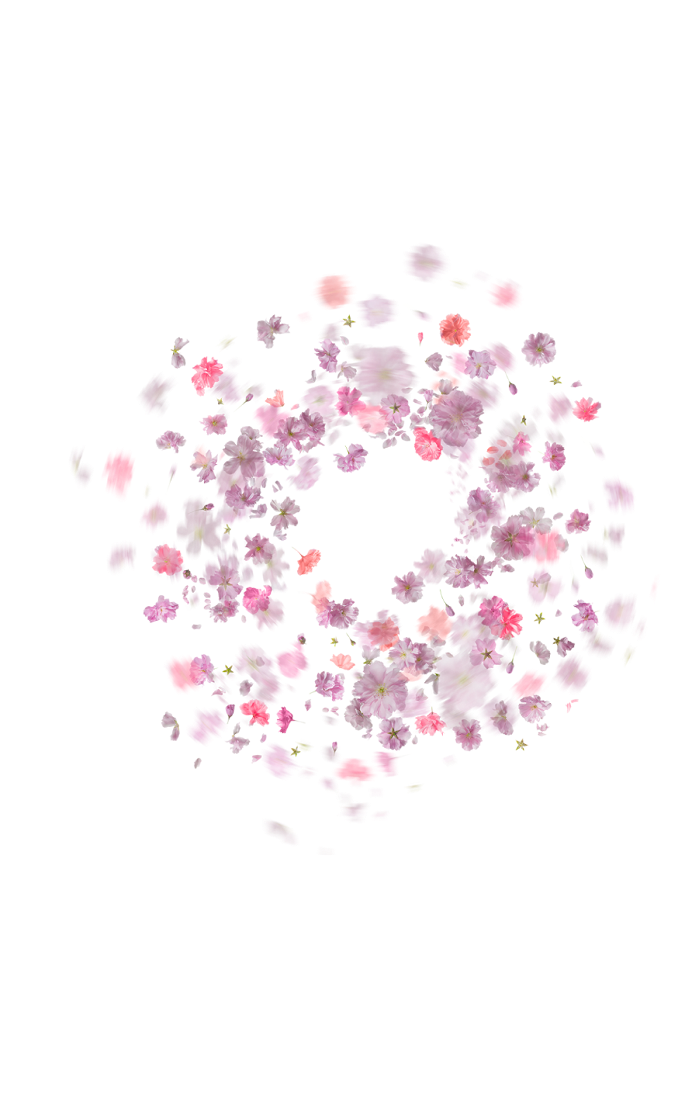 Download PNG image - Falling Rose Petals PNG Transparent Picture 