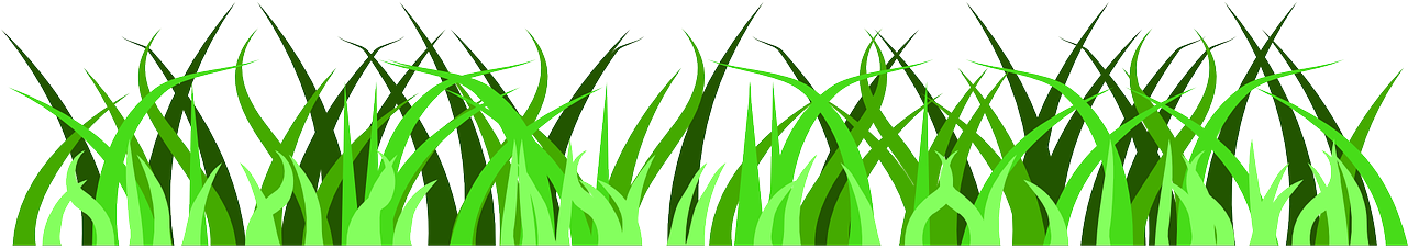 Download PNG image - Green Grass Vector PNG Transparent Image 