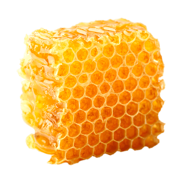 Download PNG image - Organic Honeycomb Transparent PNG 